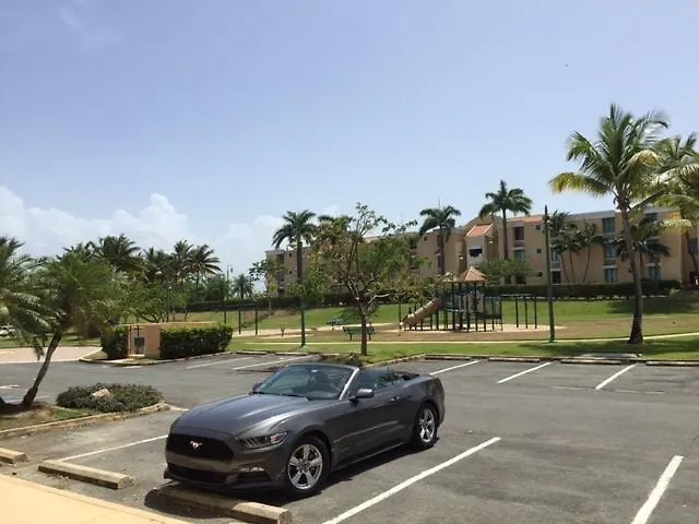 Luxury Apartment El Dorado Club 0*,